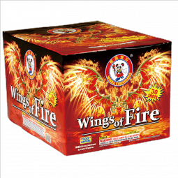 WINDA WINGS OF FIRE - CASE 4/1
